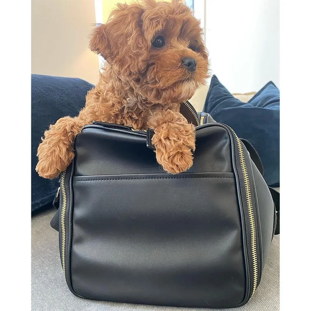 NEW Mark & Graham Pet Dog Cat Travel Carrier Bag Tote TSA Approved